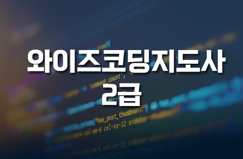 와이즈코딩지도사 2급 이미지